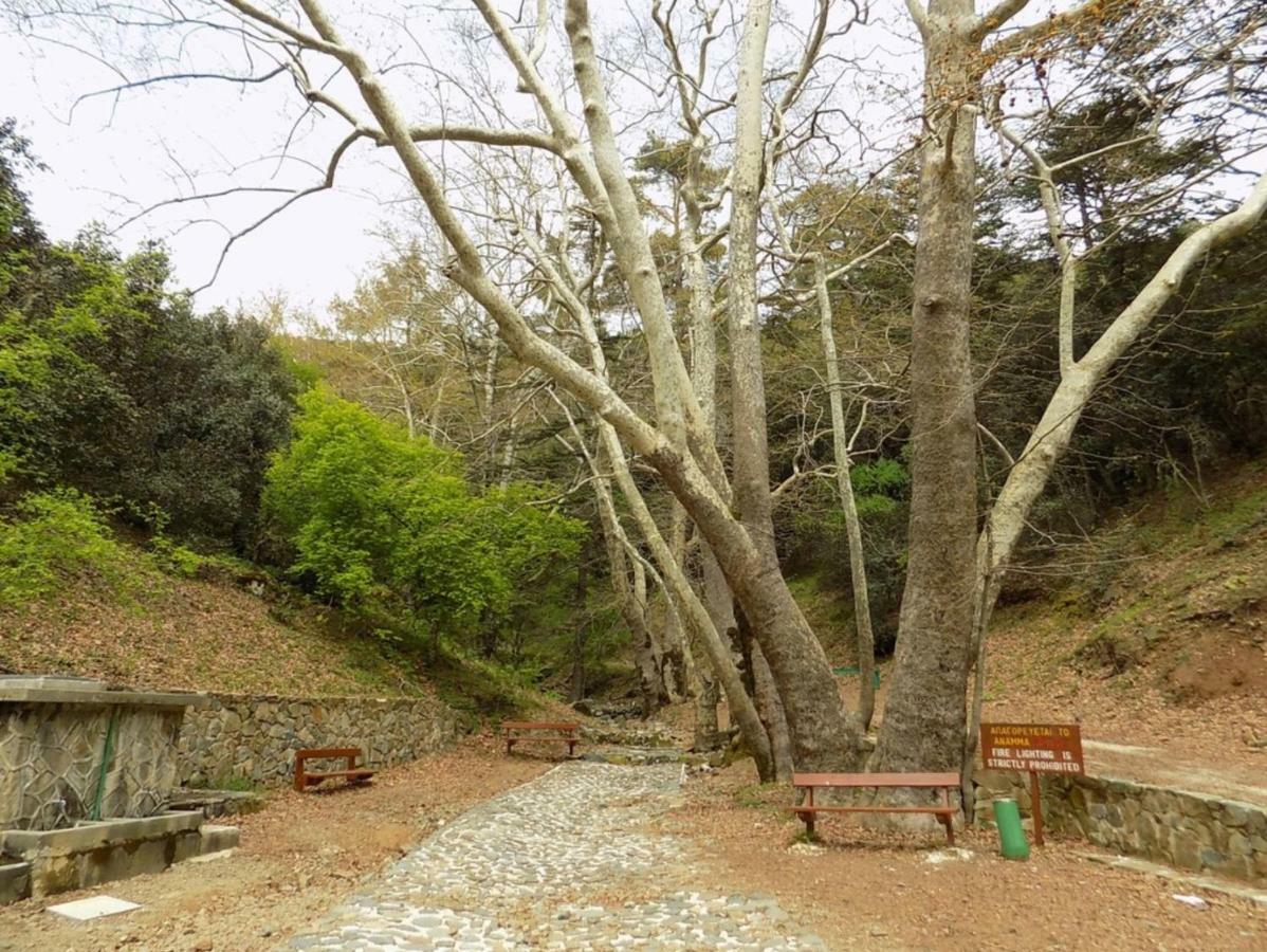 Saint Nicholas Heights Chakistra المظهر الخارجي الصورة
